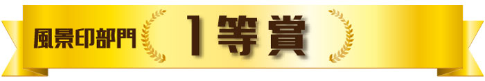 ؎蕔@P܍i